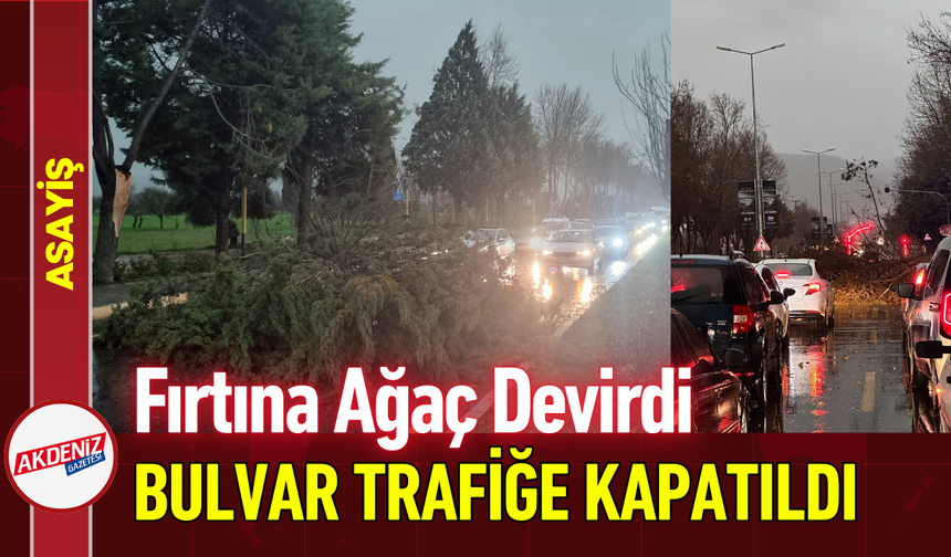 Fırtına Ağaç Devirdi, Bulvar Trafiğe Kapatıldı!