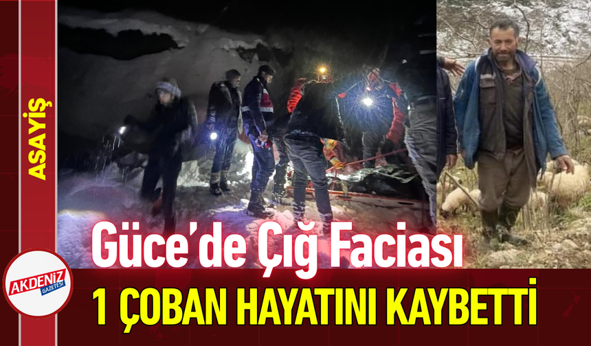 Güce’de Çığ Faciası: 1 Çoban Hayatını Kaybetti!