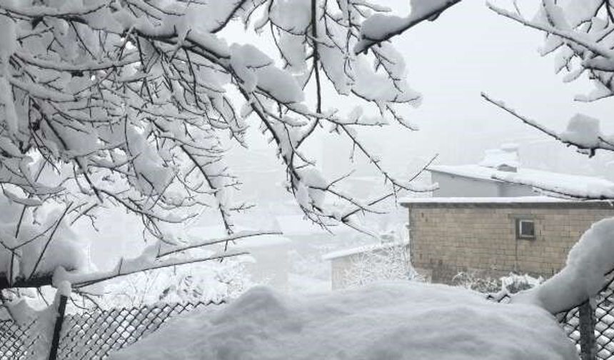 Hakkari'de 353 yerleşim yeri kapandı