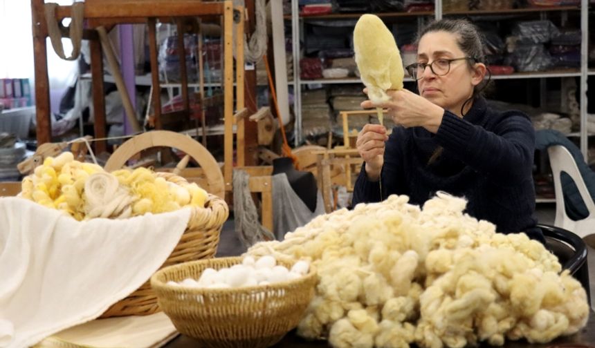 “Hatay Sarısı” Irkı İpek Böcekçiliğine Anlamlı Ödül!