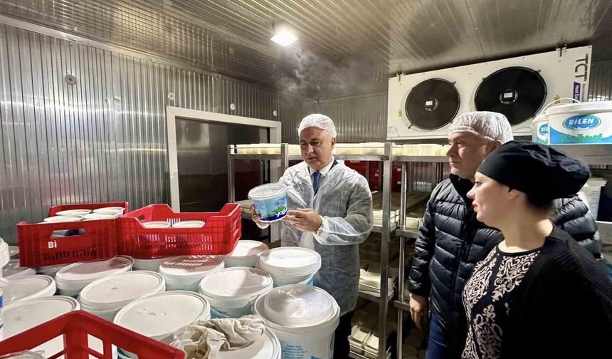 Hatay'da Süt Tesislerine Sıkı Denetim: Hijyen Ön Planda