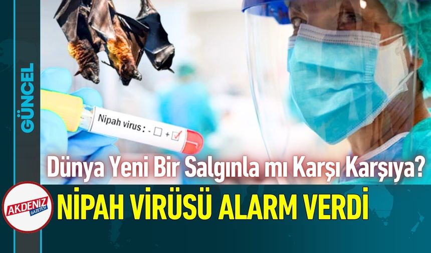Dünya Yeni Bir Salgınla mı Karşı Karşıya?