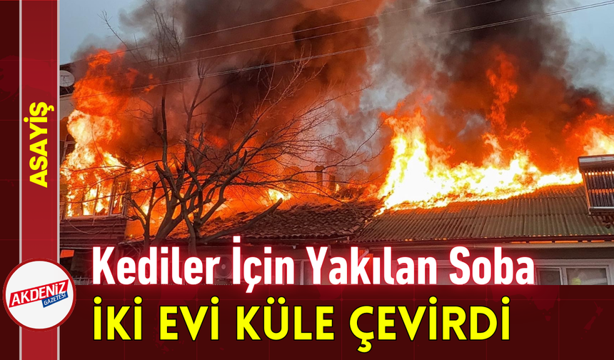 Kediler İçin Yakılan Soba İki Evi Küle Çevirdi!