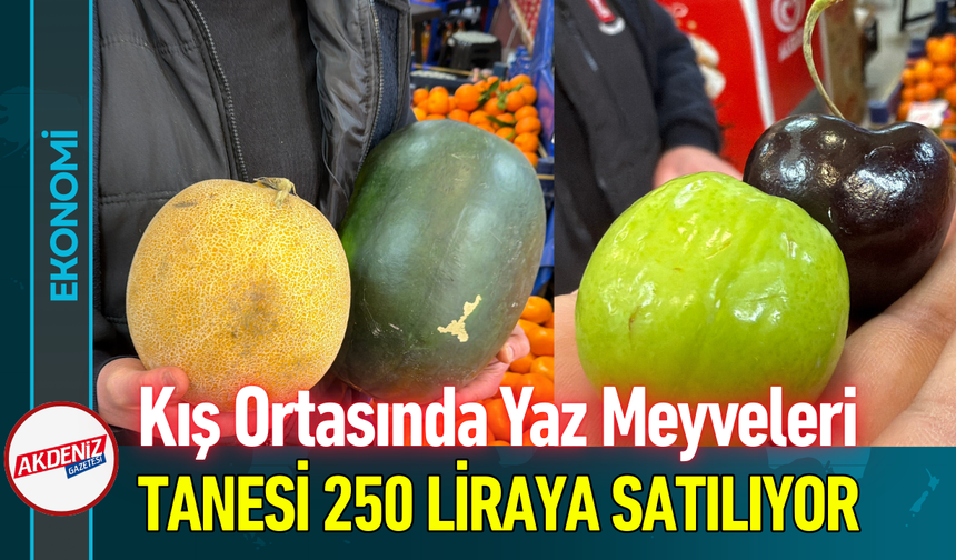 Kış Ortasında Yaz Meyveleri: Tanesi 250 Liraya Satılıyor!