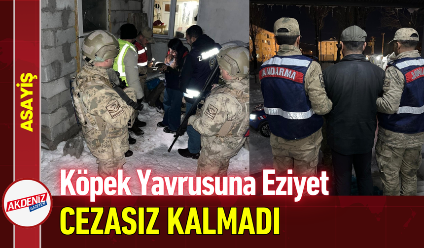 Köpek Yavrusuna Eziyet Cezasız Kalmadı!