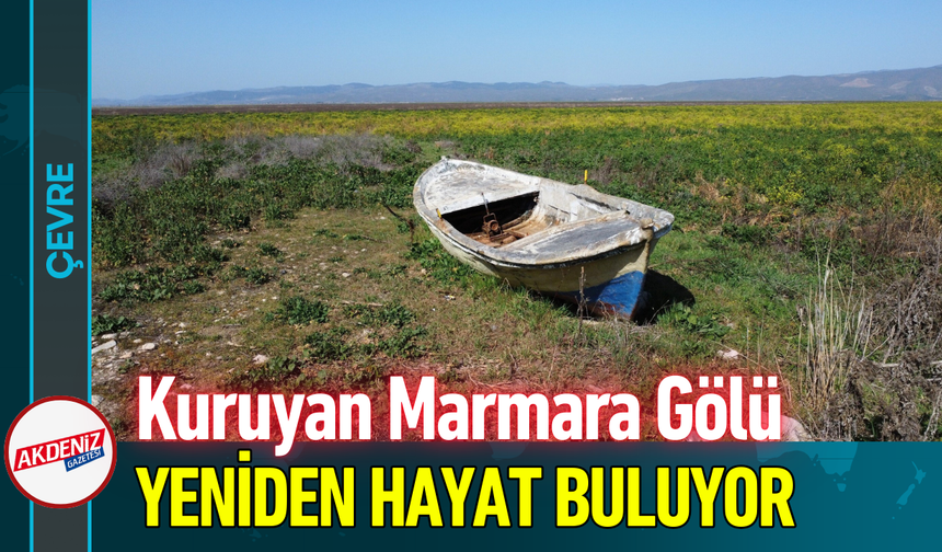 Kuruyan Marmara Gölü Yeniden Hayat Buluyor!