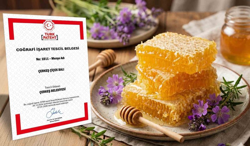 KUZKA Destekledi, Çerkeş Balı Coğrafi İşareti Kaptı