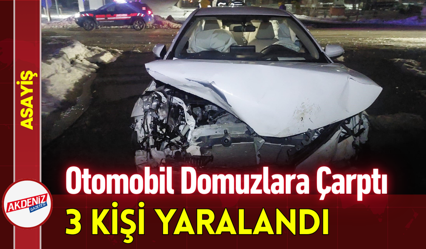 Otomobil Domuzlara Çarptı: 3 Kişi Yaralandı!