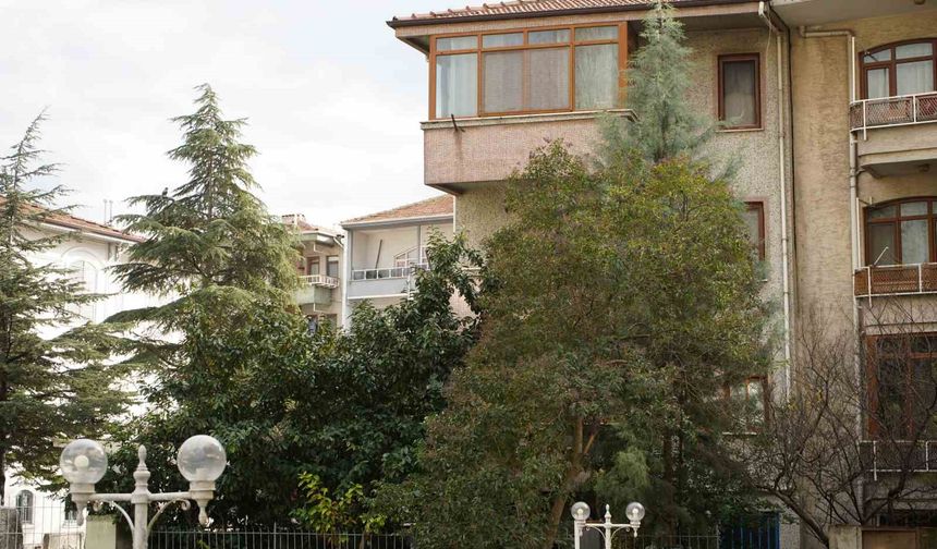 Şiddetli Rüzgar Şehirde Hayatı Durma Noktasına Getirdi