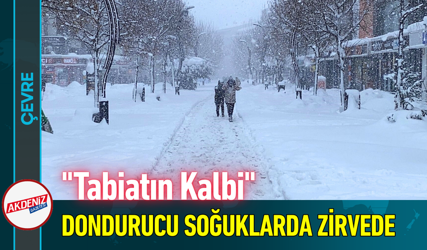 "Tabiatın Kalbi" Dondurucu Soğuklarda Zirvede!
