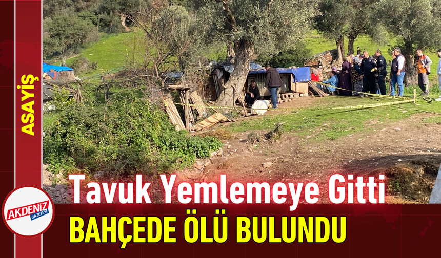Tavuk Yemlemeye Gitti, Bahçede Ölü Bulundu!