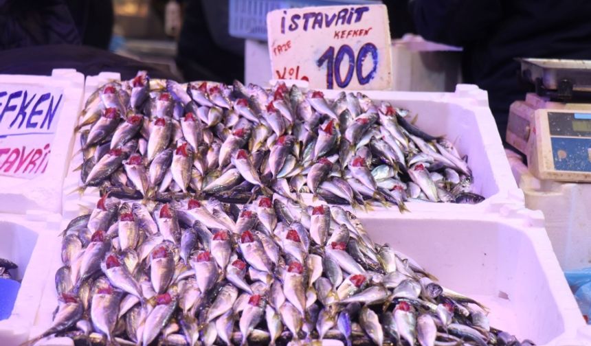 Tezgahlarda İstavrit Bolluğu: Fiyatlar Yüz Güldürdü!