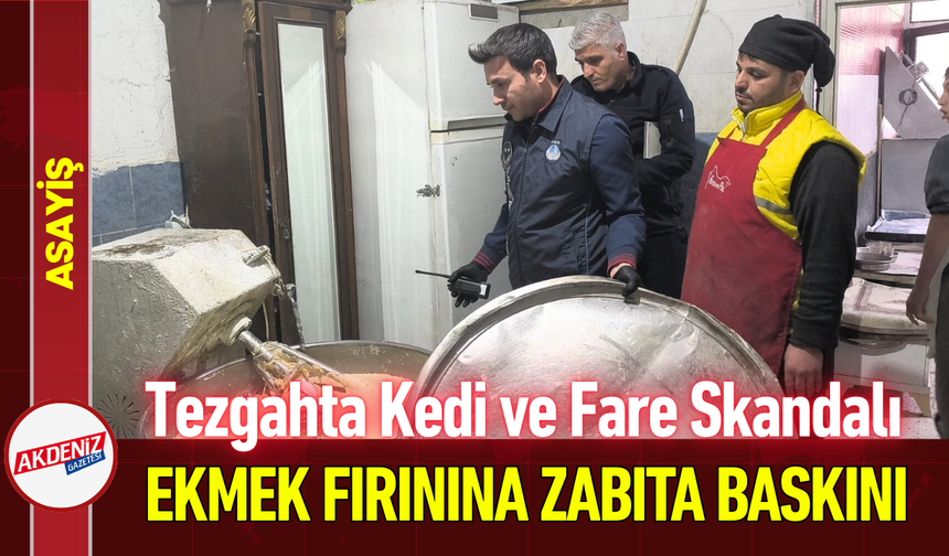 Tezgahta Kedi ve Fare Skandalı: Ekmek Fırınına Baskın!