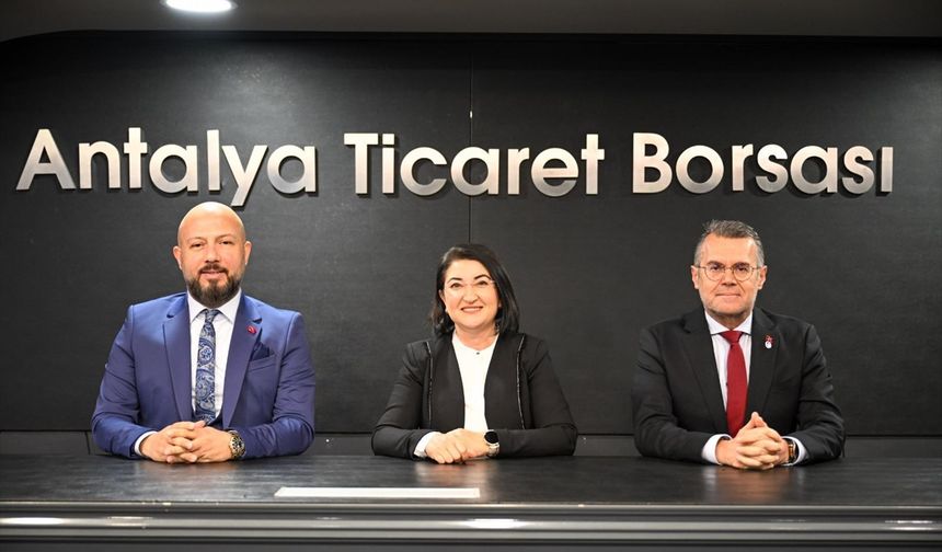 Tohumda İsrail Efsanesi Bitiyor: Türkiye İhracatçı Konumda