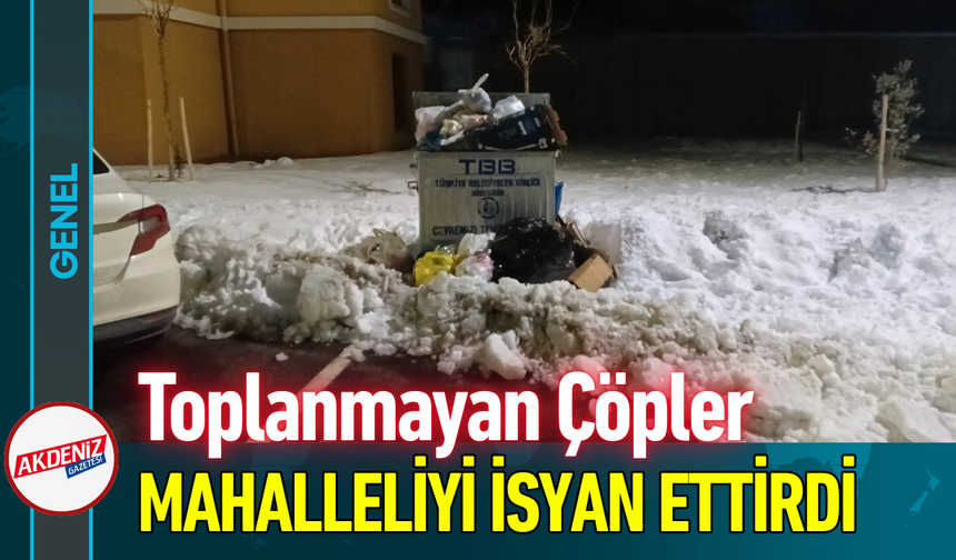 Toplanmayan Çöpler Mahalleliyi İsyan Ettirdi!