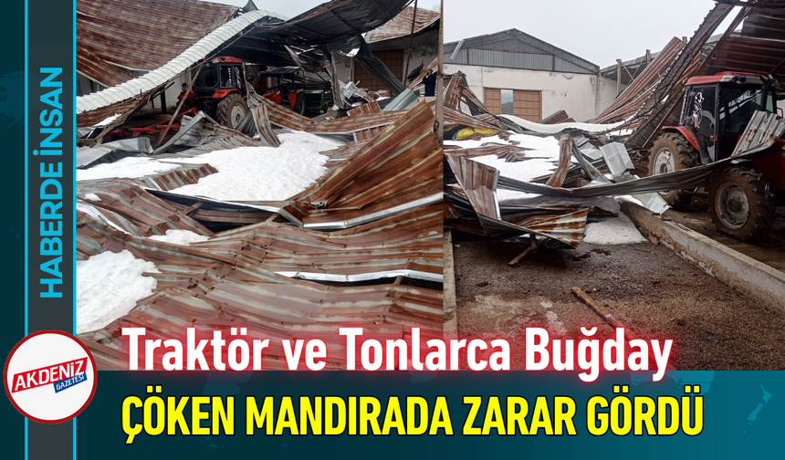 Traktör ve Tonlarca Buğday Çöken Mandırada Zarar Gördü!