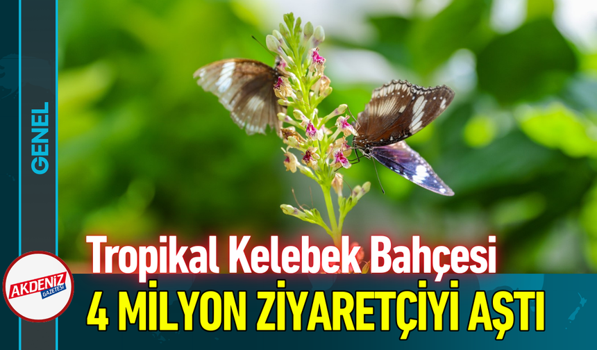 Tropikal Kelebek Bahçesi 4 Milyon Ziyaretçiyi Aştı!