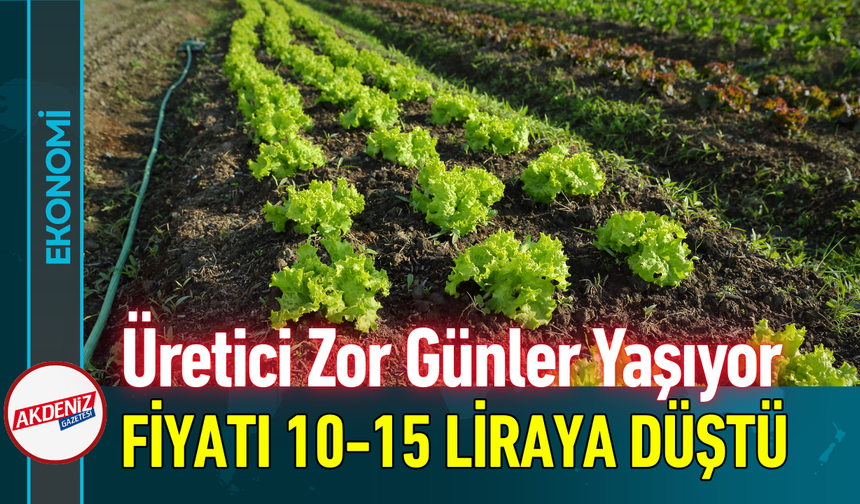 Üretici Zor Günler Yaşıyor: Fiyatı 10-15 Liraya Düştü!