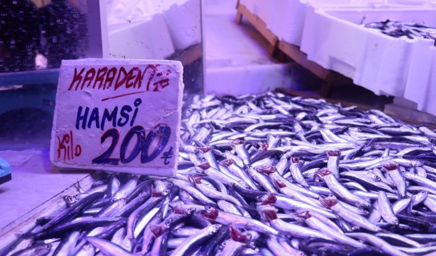 Hamsi Yeniden Tezgahlardaki Tahtına Oturdu!