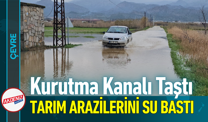 Kurutma Kanalı Taştı, Tarım Arazilerini Su Bastı!
